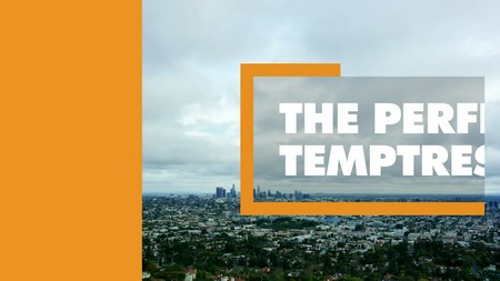 IntimatePOV Perfect Temptress