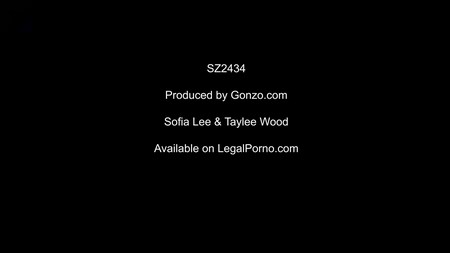 PornBox Gonzo SZ2434